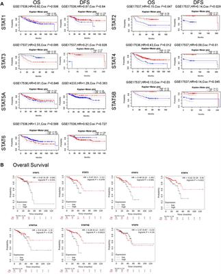 Comprehensive analysis of the prognostic and immunotherapeutic implications of STAT family members in human colorectal cancer